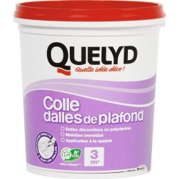 Colle pour dalle et plafond - 1 Kg - QUELYD