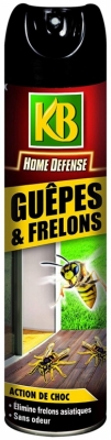 Aérosol spécial guêpes frelons - Home défense - 400 mL - KB