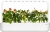 Potager d'intérieur - Click & Grow - Smart Garden 9 - Blanc - EMSA