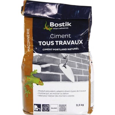 Ciment tous travaux Blanc - 2.5 Kg - BOSTIK