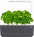 Potager d'intérieur - Click & Grow - Smart Garden 3 - Gris - EMSA