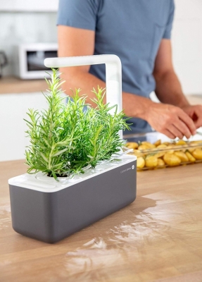 Potager d'intérieur - Click & Grow - Smart Garden 3 - Gris - EMSA