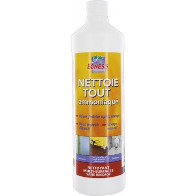 Nettoyant multi-usages - Amoniaque - 1 L - ECNESS