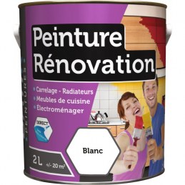 Peinture multi-surfaces - Rénovation - 2 L - Blanc - BATIR