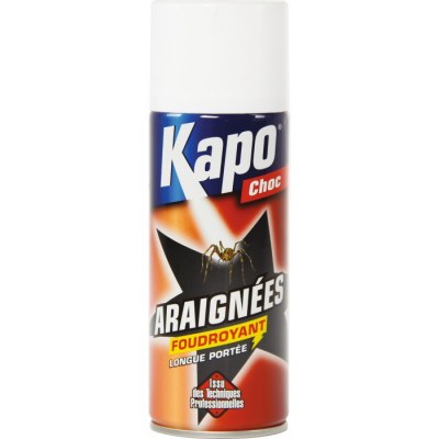 Aérosol Foudroyant Spécial Araignées - KAPO