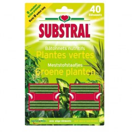 Batonnets nutritifs pour plantes vertes - 40 Batonnets - SUBSTRAL