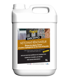 Nettoyant rénovateur mur et façade - ANTICRYPTO - 5 L - FACYL