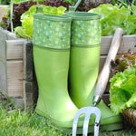 Bottes et chaussures de jardin