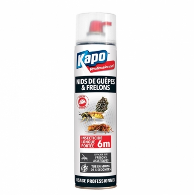 Insecticide longue portée - Spécial nids de guêpes et frêlons - Portée 6 m - 750 ml - KAPO
