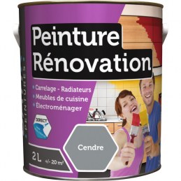 Peinture multi-surfaces - Rénovation - 2 L - Cendre - BATIR