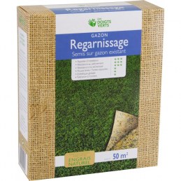 Gazon regarnissage - 50 m² - 0.5 Kg - LES DOIGTS VERTS