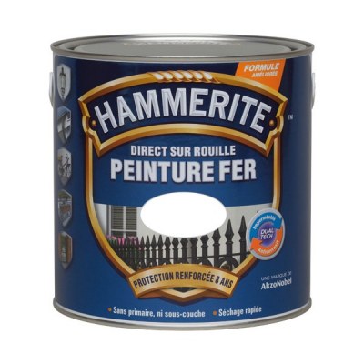 Peinture Fer brillant - Direct sur rouille - 2.5 L - Blanc - HAMMERITE