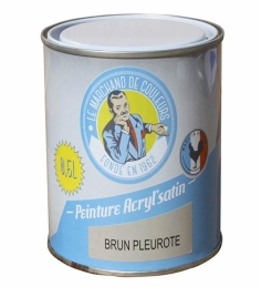 Peinture acrylique - Murs et plafonds - Satin - Brun pleurote - 0.5 L - ONIP