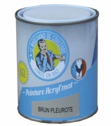 Peinture acrylique - Murs et plafonds - Mat - Brun pleurote - 0.5 L - ONIP