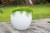 Pot en plastique - EGG Graphit - 46 L - Blanc cérusé - EDA