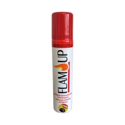 Recharge de gaz universel - 90 mL - FLAM'UP