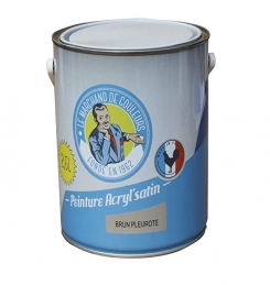 Peinture acrylique - Murs et plafonds - Satin - Brun pleurote - 2.5 L - ONIP