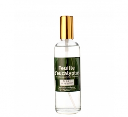 Parfum d' ambiance - Feuille d' Eucalyptus - 100 ml - LAMPE DU PARFUMEUR